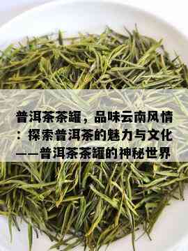 普洱茶茶罐，品味云南风情：探索普洱茶的魅力与文化——普洱茶茶罐的神秘世界