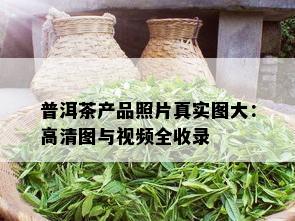 普洱茶产品照片真实图大：高清图与视频全收录