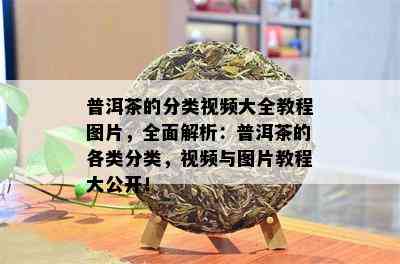 普洱茶的分类视频大全教程图片，全面解析：普洱茶的各类分类，视频与图片教程大公开！