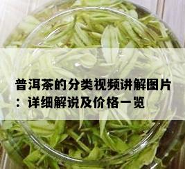 普洱茶的分类视频讲解图片：详细解说及价格一览