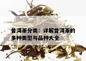 普洱茶分类：详解普洱茶的多种类型与品种大全