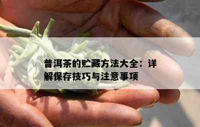 普洱茶的贮藏方法大全：详解保存技巧与注意事项