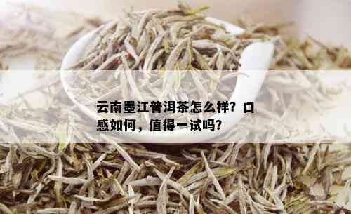 云南墨江普洱茶怎么样？口感如何，值得一试吗？