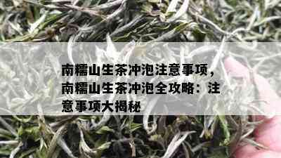 南糯山生茶冲泡注意事项，南糯山生茶冲泡全攻略：注意事项大揭秘