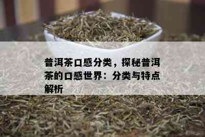 普洱茶口感分类，探秘普洱茶的口感世界：分类与特点解析