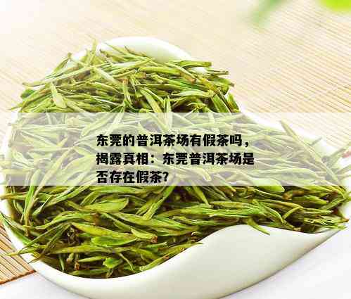 东莞的普洱茶场有假茶吗，揭露真相：东莞普洱茶场是否存在假茶？