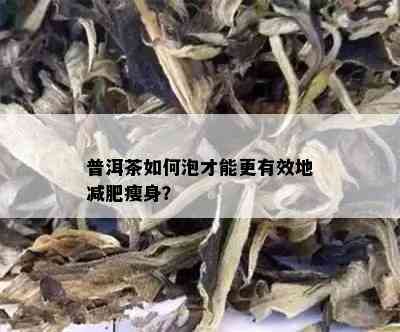 普洱茶如何泡才能更有效地减肥瘦身？