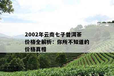 2002年云南七子普洱茶价格全解析：你所不知道的价格真相