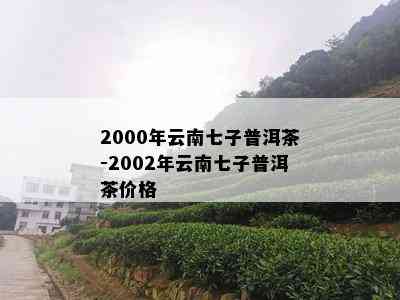 2000年云南七子普洱茶-2002年云南七子普洱茶价格