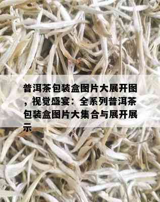 普洱茶包装盒图片大展开图，视觉盛宴：全系列普洱茶包装盒图片大集合与展开展示