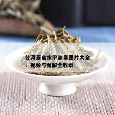 普洱茶含水率测量图片大全：视频与图解全收录