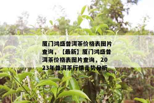 厦门鸿盛普洱茶价格表图片查询，【最新】厦门鸿盛普洱茶价格表图片查询，2023年普洱茶行情走势分析