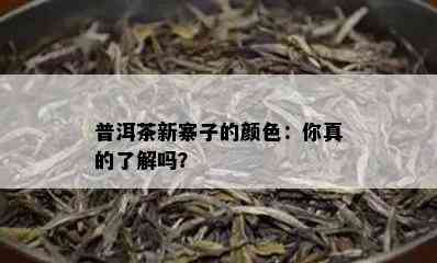 普洱茶新寨子的颜色：你真的了解吗？