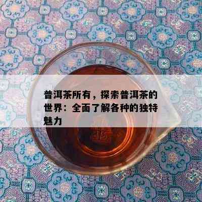 普洱茶所有，探索普洱茶的世界：全面了解各种的独特魅力