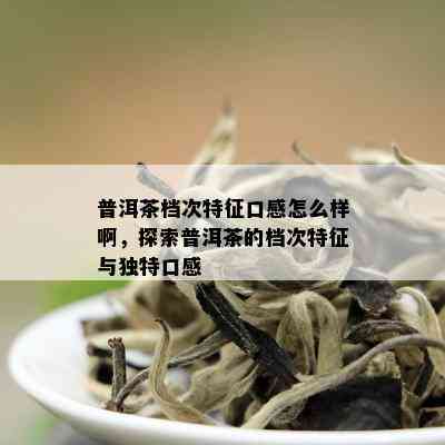 普洱茶档次特征口感怎么样啊，探索普洱茶的档次特征与独特口感