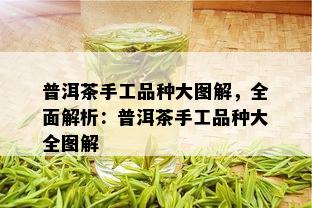 普洱茶手工品种大图解，全面解析：普洱茶手工品种大全图解