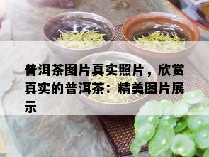 普洱茶图片真实照片，欣赏真实的普洱茶：精美图片展示