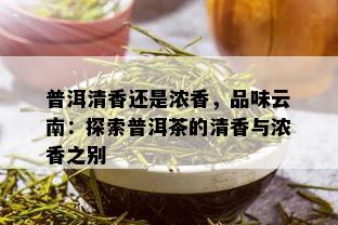 普洱清香还是浓香，品味云南：探索普洱茶的清香与浓香之别