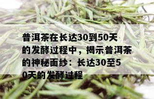 普洱茶在长达30到50天的发酵过程中，揭示普洱茶的神秘面纱：长达30至50天的发酵过程