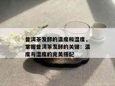 普洱茶发酵的温度和湿度，掌握普洱茶发酵的关键：温度与湿度的完美搭配