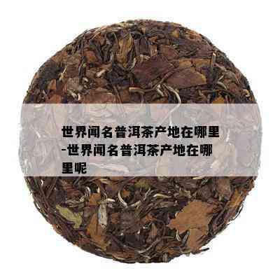 世界闻名普洱茶产地在哪里-世界闻名普洱茶产地在哪里呢