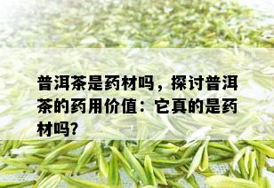 普洱茶是药材吗，探讨普洱茶的药用价值：它真的是药材吗？