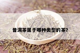 普洱茶属于哪种类型的茶？