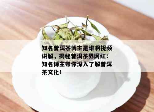 知名普洱茶博主是谁啊视频讲解，揭秘普洱茶界网红：知名博主带你深入了解普洱茶文化！