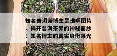 知名普洱茶博主是谁啊图片，揭开普洱茶界的神秘面纱：知名博主的真实身份曝光！