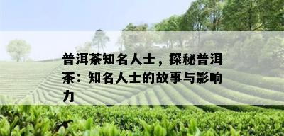 普洱茶知名人士，探秘普洱茶：知名人士的故事与影响力