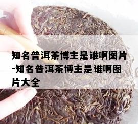 知名普洱茶博主是谁啊图片-知名普洱茶博主是谁啊图片大全