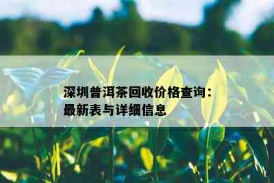 深圳普洱茶回收价格查询：最新表与详细信息