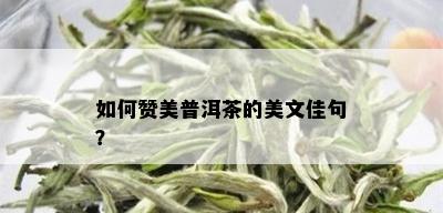 如何赞美普洱茶的美文佳句？