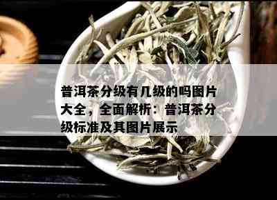 普洱茶分级有几级的吗图片大全，全面解析：普洱茶分级标准及其图片展示