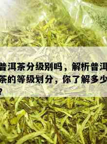 普洱茶分级别吗，解析普洱茶的等级划分，你了解多少？