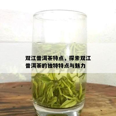 双江普洱茶特点，探索双江普洱茶的独特特点与魅力