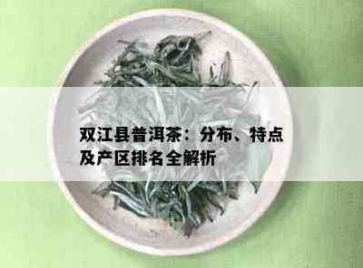 双江县普洱茶：分布、特点及产区排名全解析