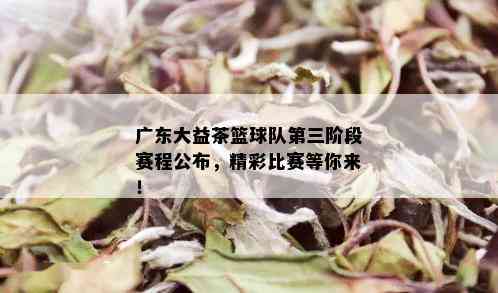 广东大益茶篮球队第三阶段赛程公布，精彩比赛等你来！