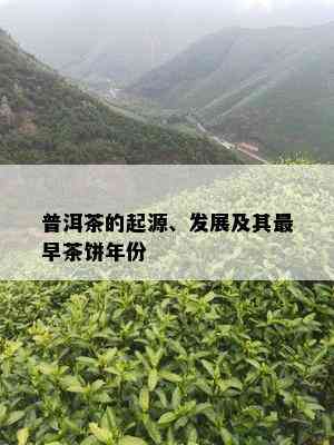 普洱茶的起源、发展及其最早茶饼年份