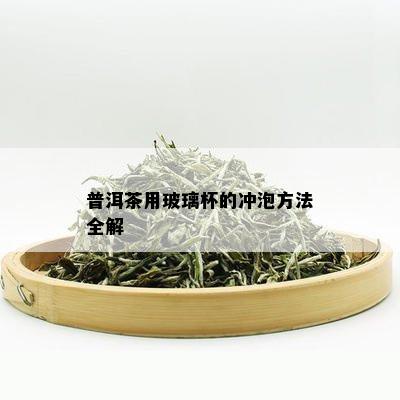 普洱茶用玻璃杯的冲泡方法全解