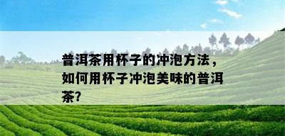 普洱茶用杯子的冲泡方法，如何用杯子冲泡美味的普洱茶？