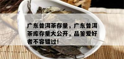 广东普洱茶存量，广东普洱茶库存量大公开，品鉴爱好者不容错过！