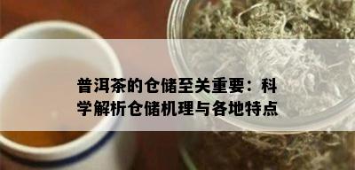 普洱茶的仓储至关重要：科学解析仓储机理与各地特点