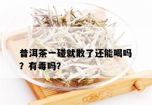 普洱茶一碰就散了还能喝吗？有吗？