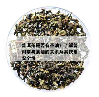 普洱茶是否有茶油？了解普洱茶与茶油的关系及其饮用安全性