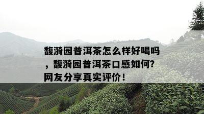 馥漪园普洱茶怎么样好喝吗，馥漪园普洱茶口感如何？网友分享真实评价！