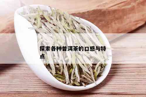 探索各种普洱茶的口感与特点