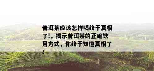 普洱茶应该怎样喝终于真相了!，揭示普洱茶的正确饮用方式，你终于知道真相了！