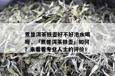 煮普洱茶铁壶好不好泡水喝呀，「煮普洱茶铁壶」如何？来看看专业人士的评价！