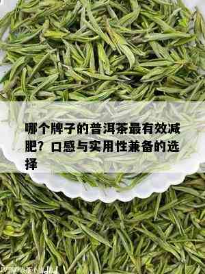 哪个牌子的普洱茶最有效减肥？口感与实用性兼备的选择